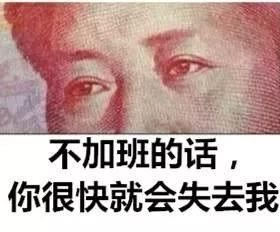 小狐狸官方网站/app/ios/安卓/在线/注册,节免单疯抢季